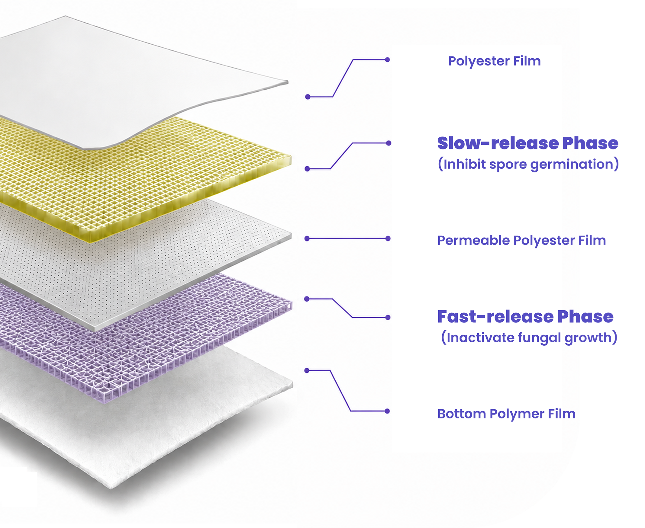 Product Design